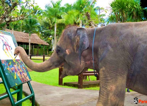 エレファントライド_07